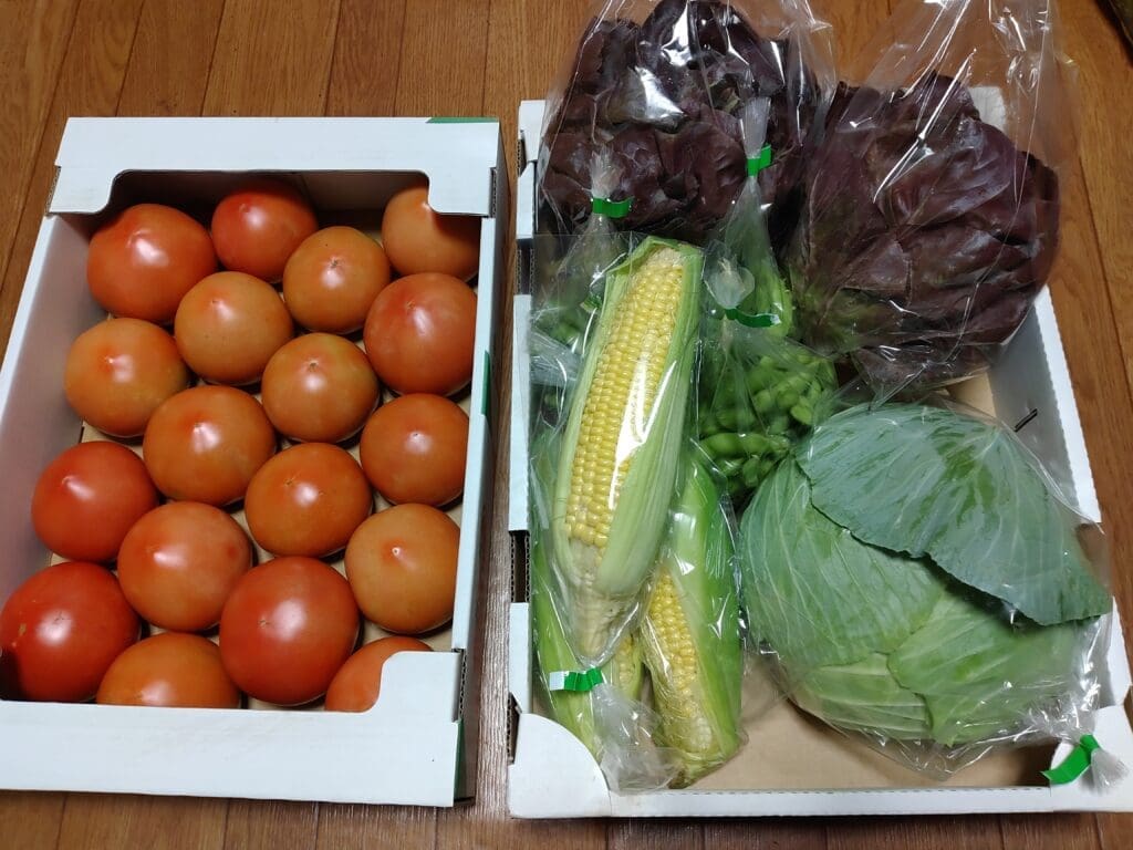 コーヒーかすの堆肥で育てられた、トマト、トウモロコシ、キャベツ、レタスなどの新鮮な夏野菜が並ぶ2つの木箱。
